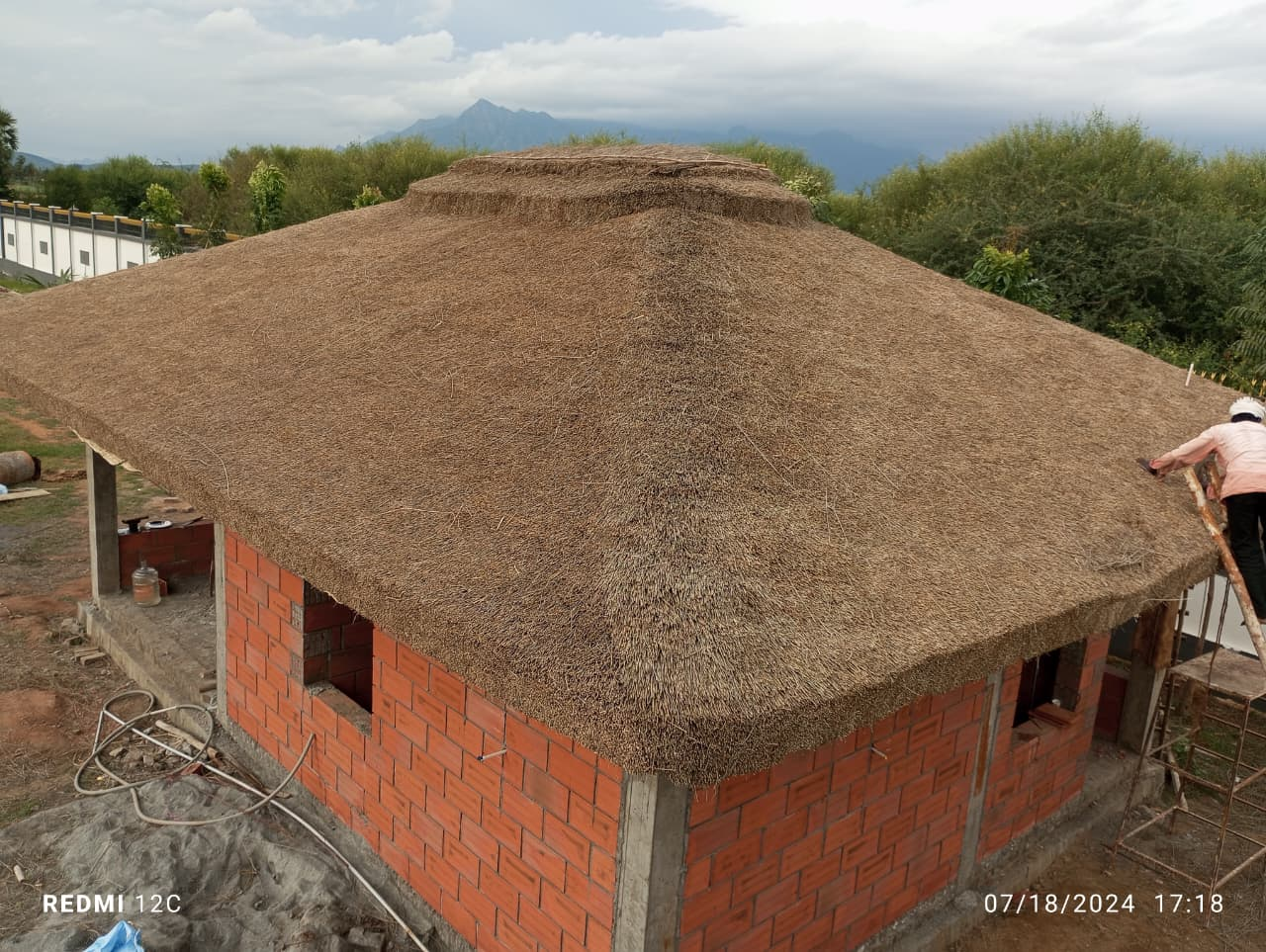 Traditional village hut with thatched roof standing among coconut trees