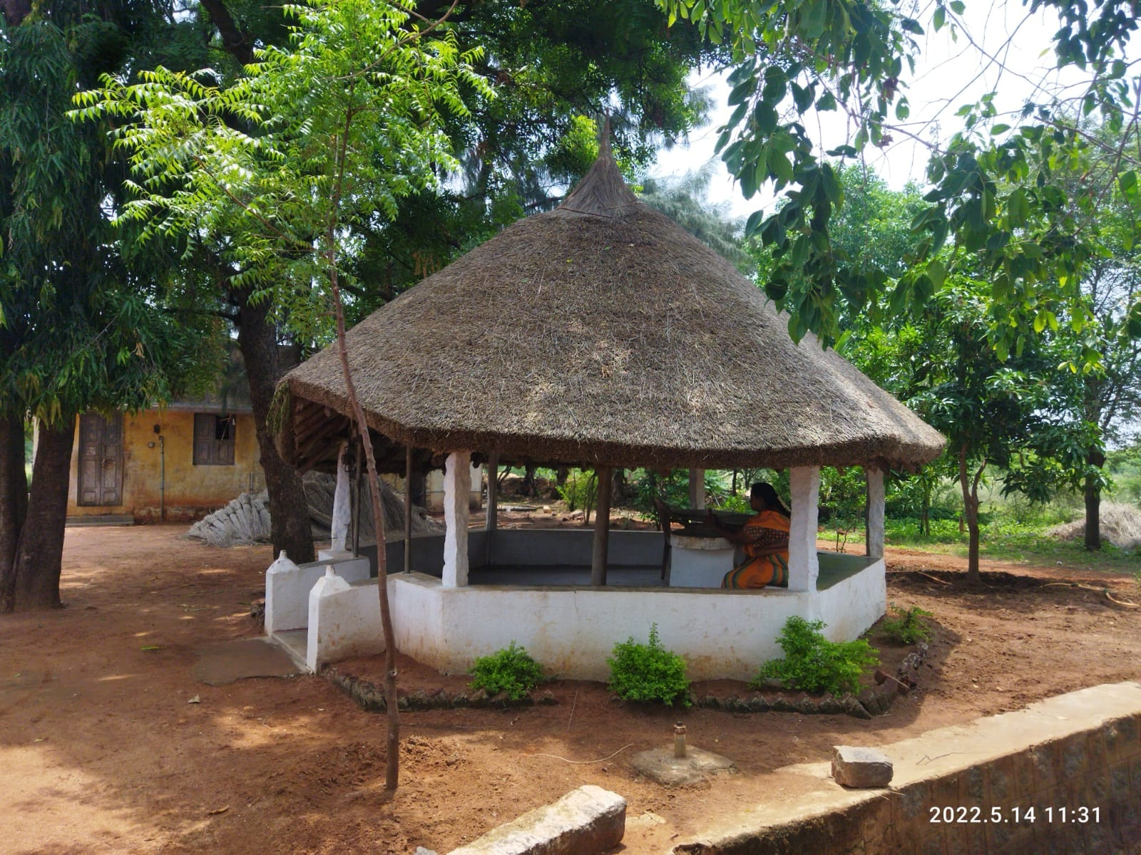 Craftsman weaving coconut palm leaves for a thatched roof